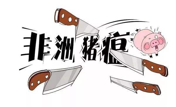 �����������������