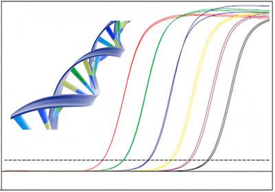 ��������ԭ���Ϸ���