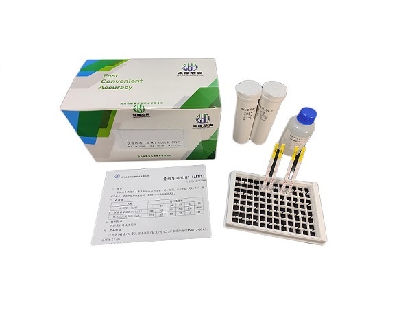 ����ù����B1������ֽ��